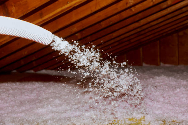  Bal Harbour, FL Insulation Contractor Pros