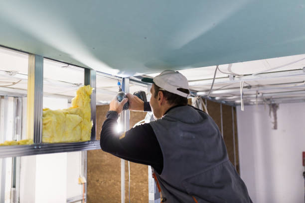 Best Cellulose Insulation in Bal Harbour, FL