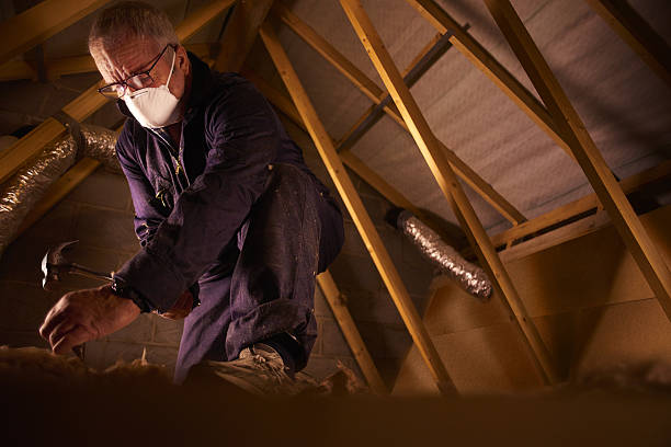 Best Blown-in Insulation in Bal Harbour, FL